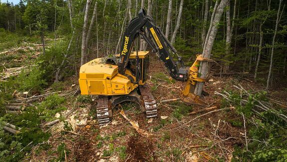 Аренда валочно-пакетирующей машины Tigercat 845e