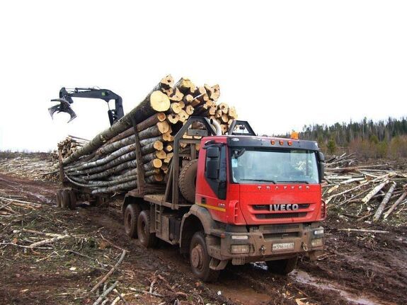 Аренда лесовоза Iveco АМТ 633930